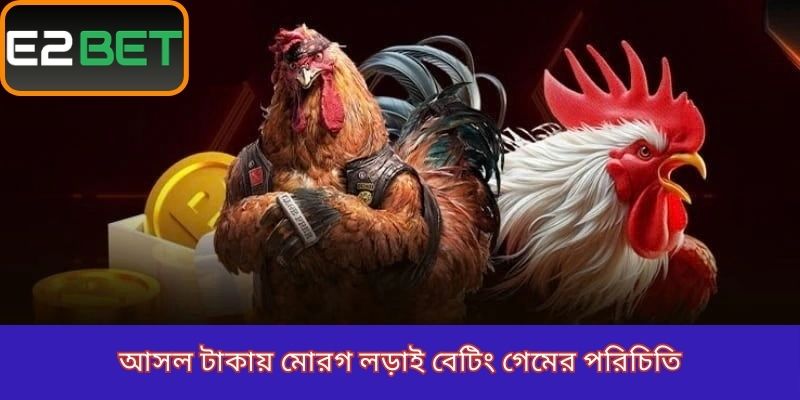 আসল টাকায় মোরগ লড়াই বেটিংয়ের সংক্ষিপ্ত পরিচিতি