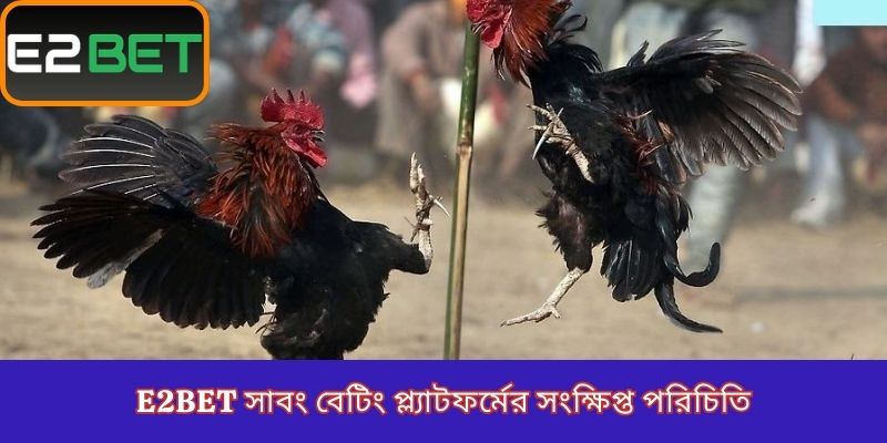 E2Bet সাবং বেটিং প্ল্যাটফর্মের সংক্ষিপ্ত পরিচিতি